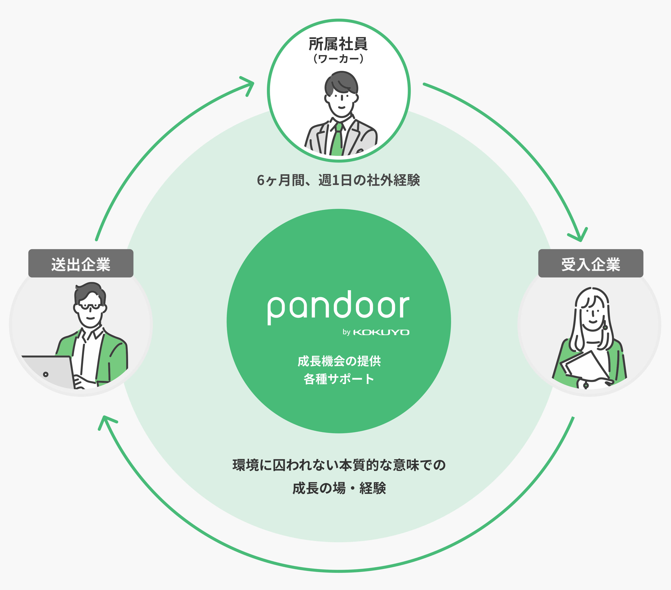 pandoor-05.png