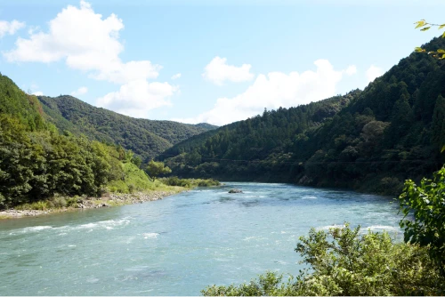 gallery02500.webp