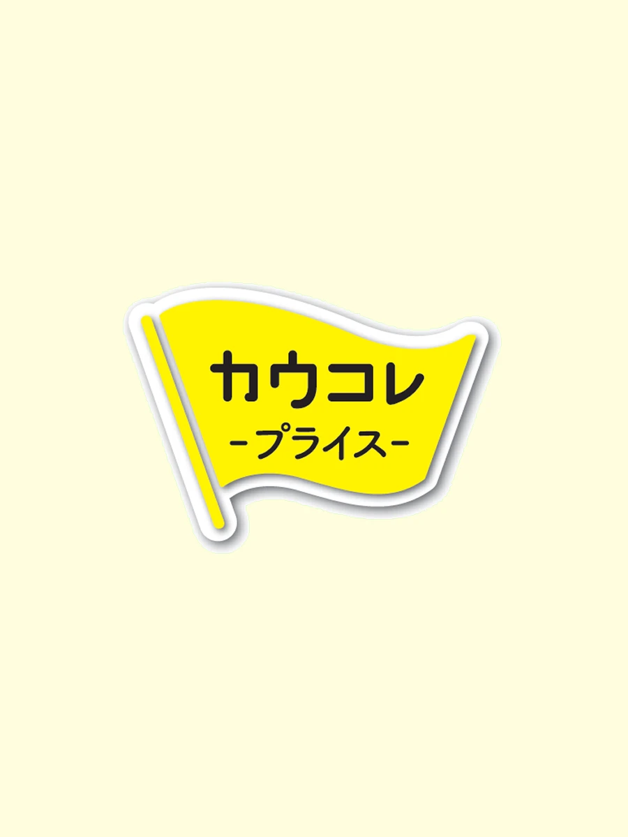 fv02900.webp