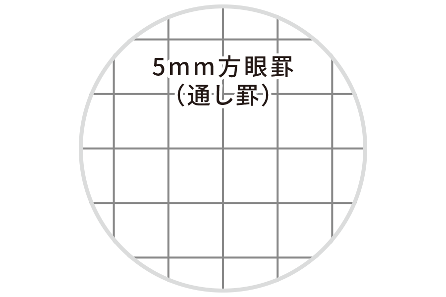 罫線画像
