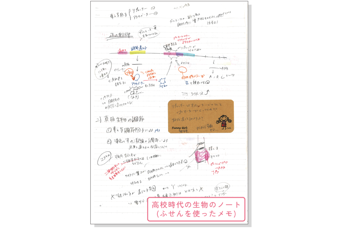 特長画像