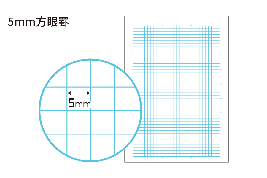 キャンパスノート用途別　罫線画像