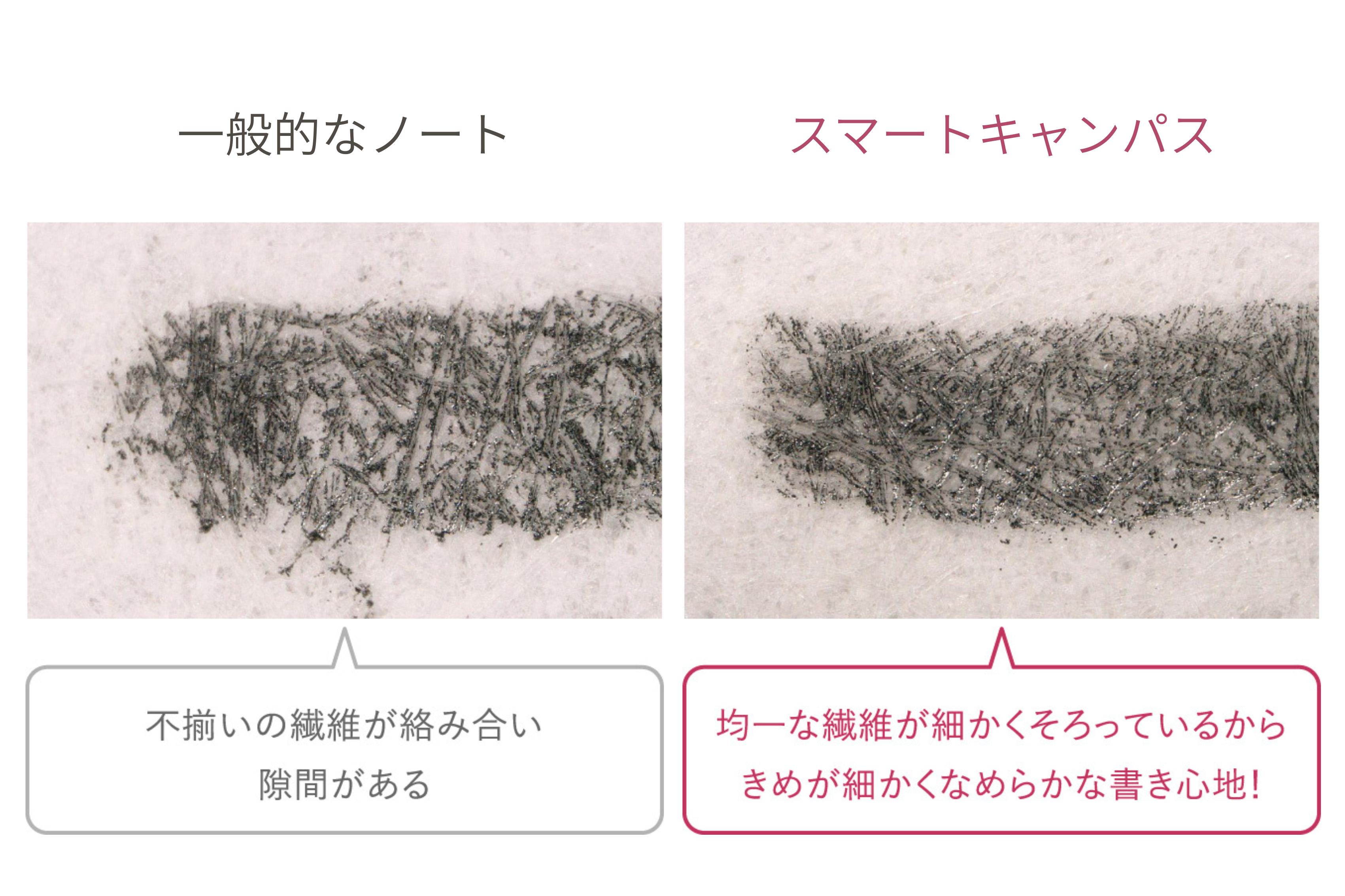 特長画像１