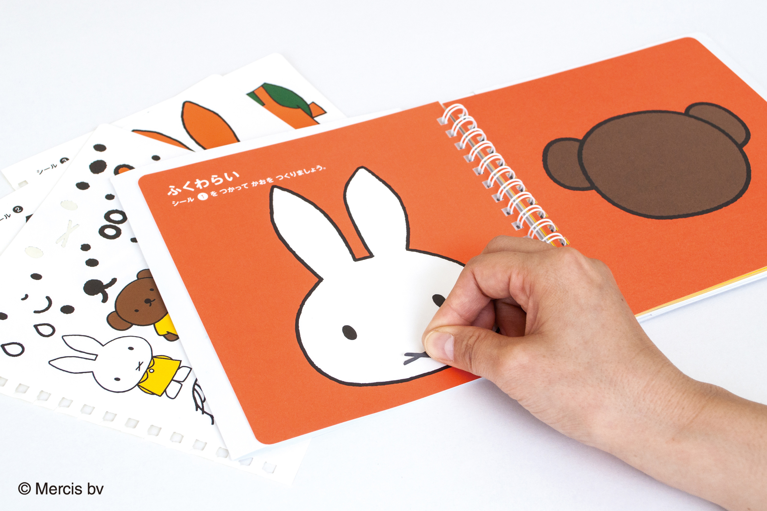 st-ehon-dick-bruna.png