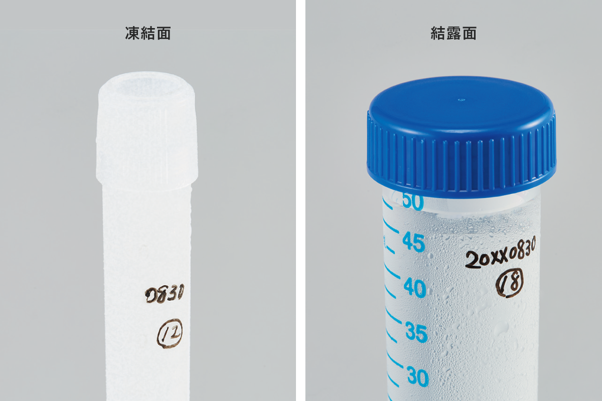 特徴画像３