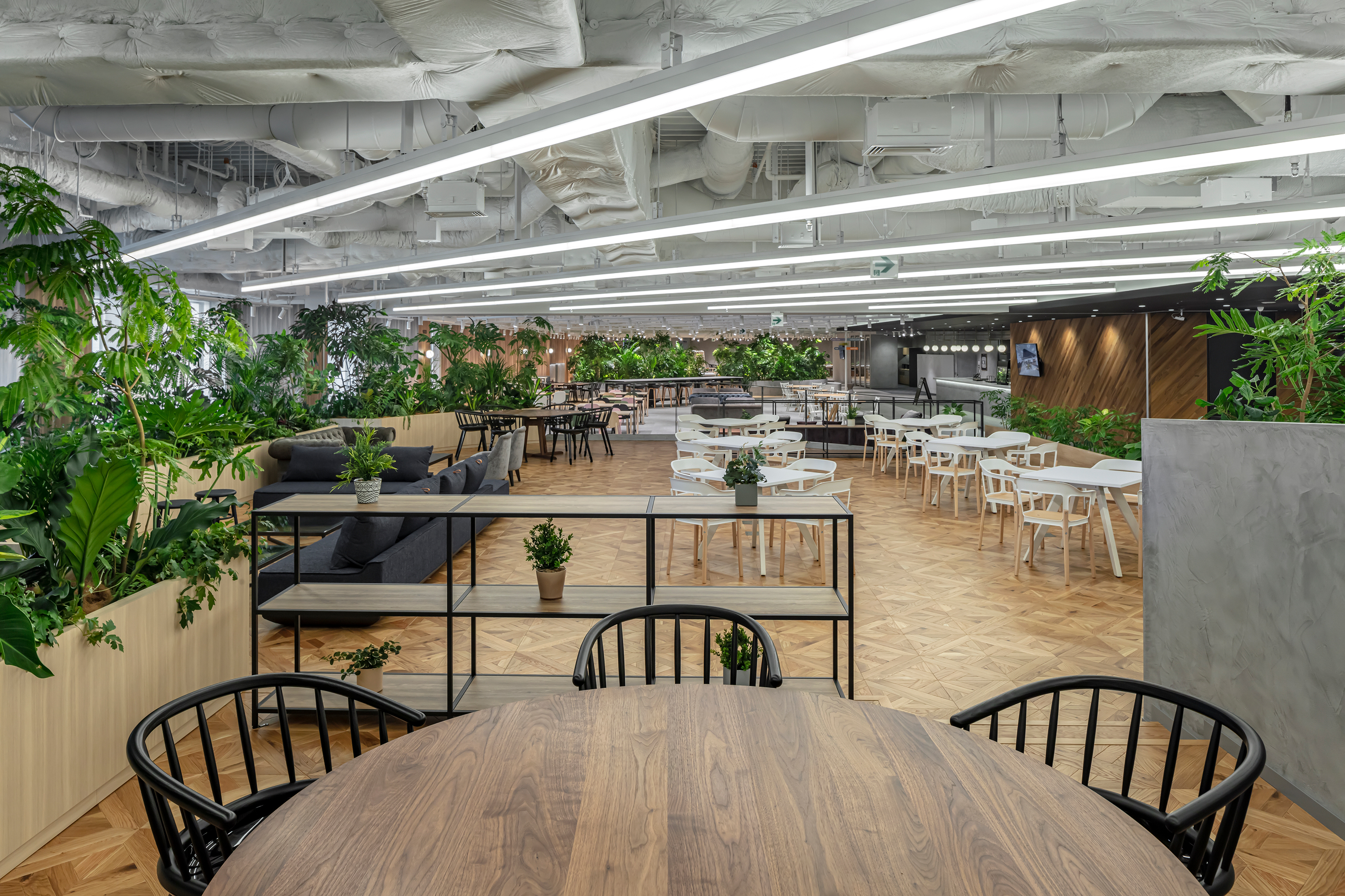 Office I KV画像