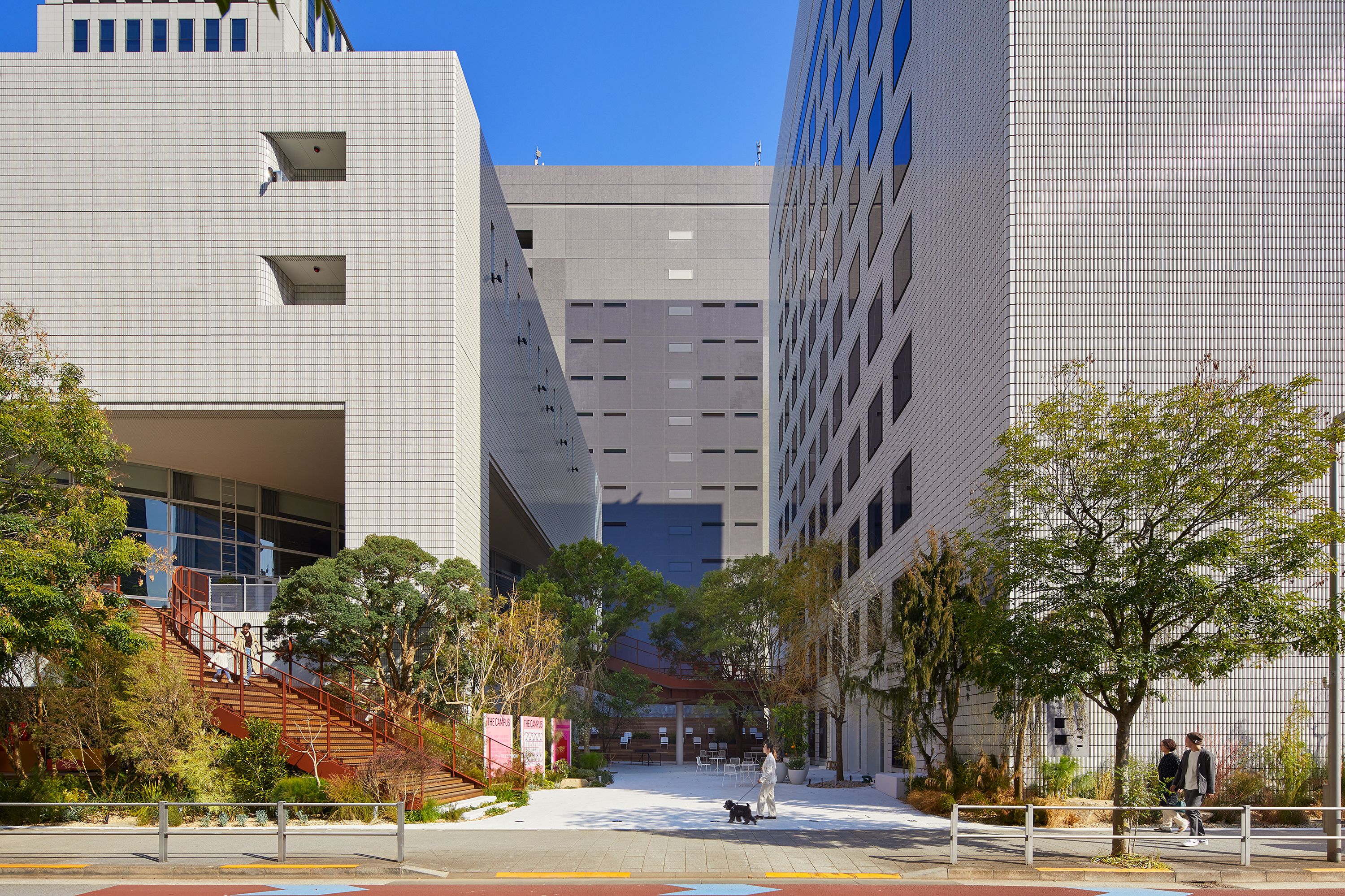 THE CAMPUS KV画像