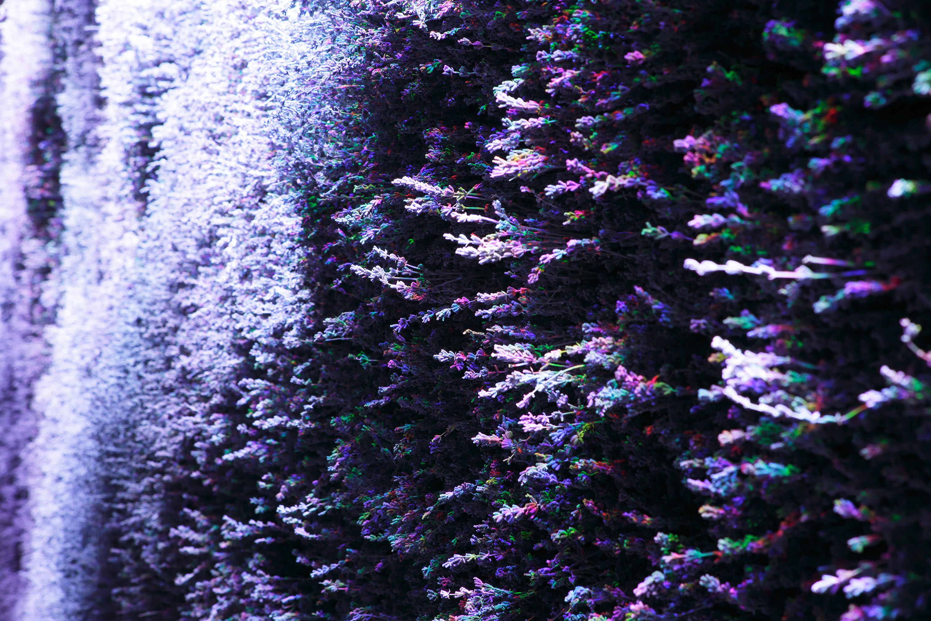 -03-2-2