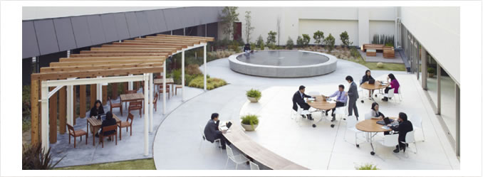 Eco-Live Office