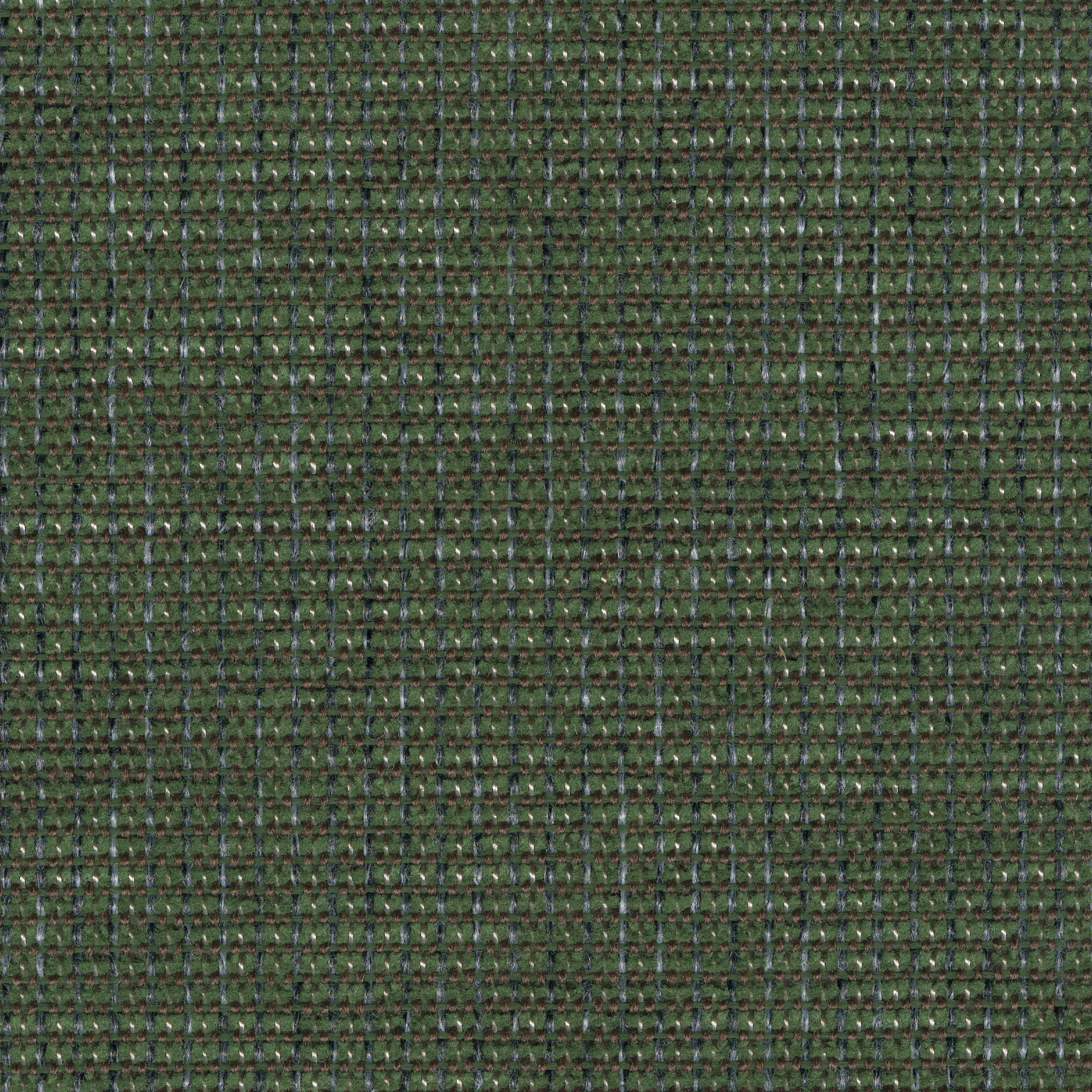 GFQ6