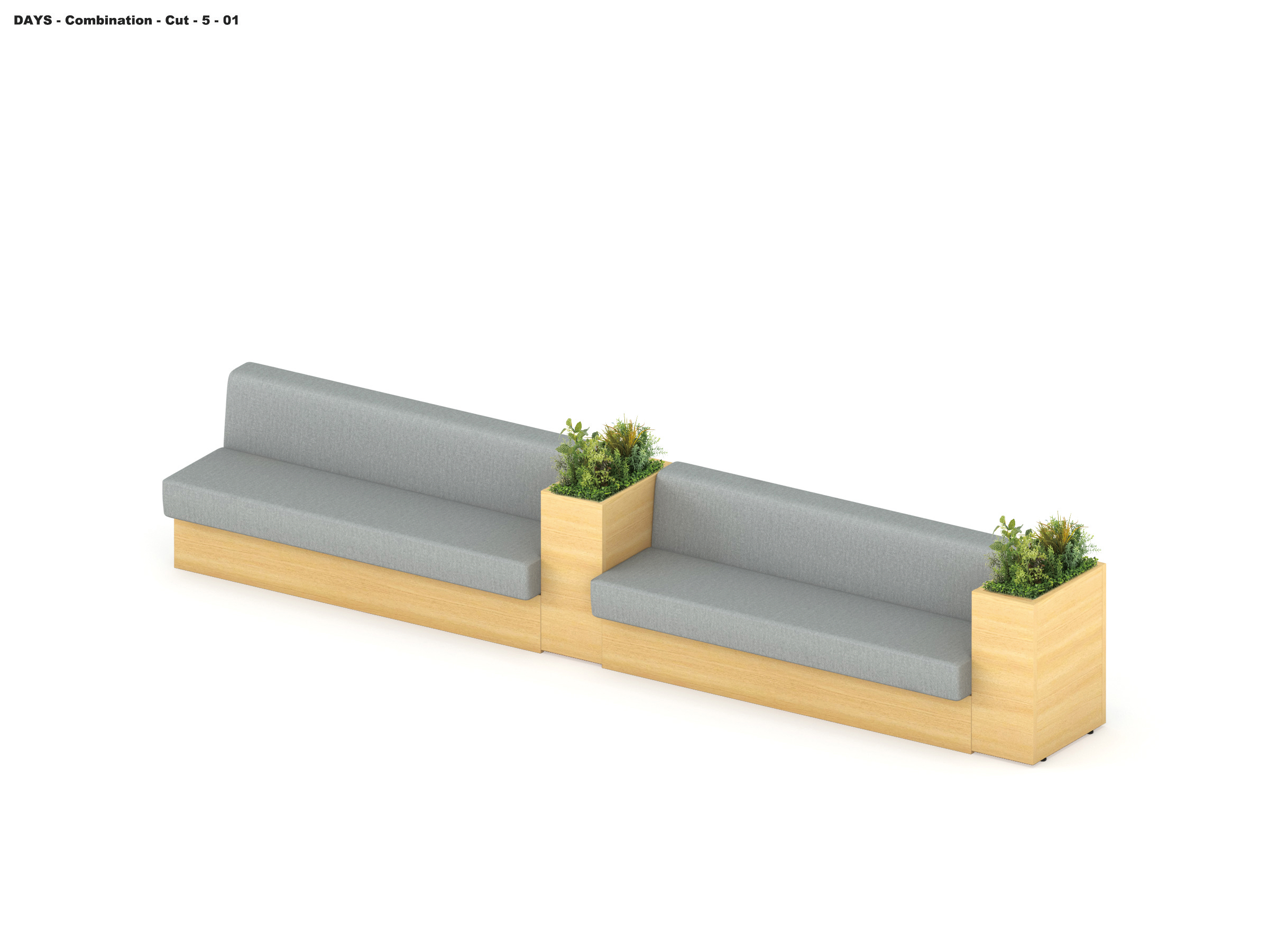 Scene Image