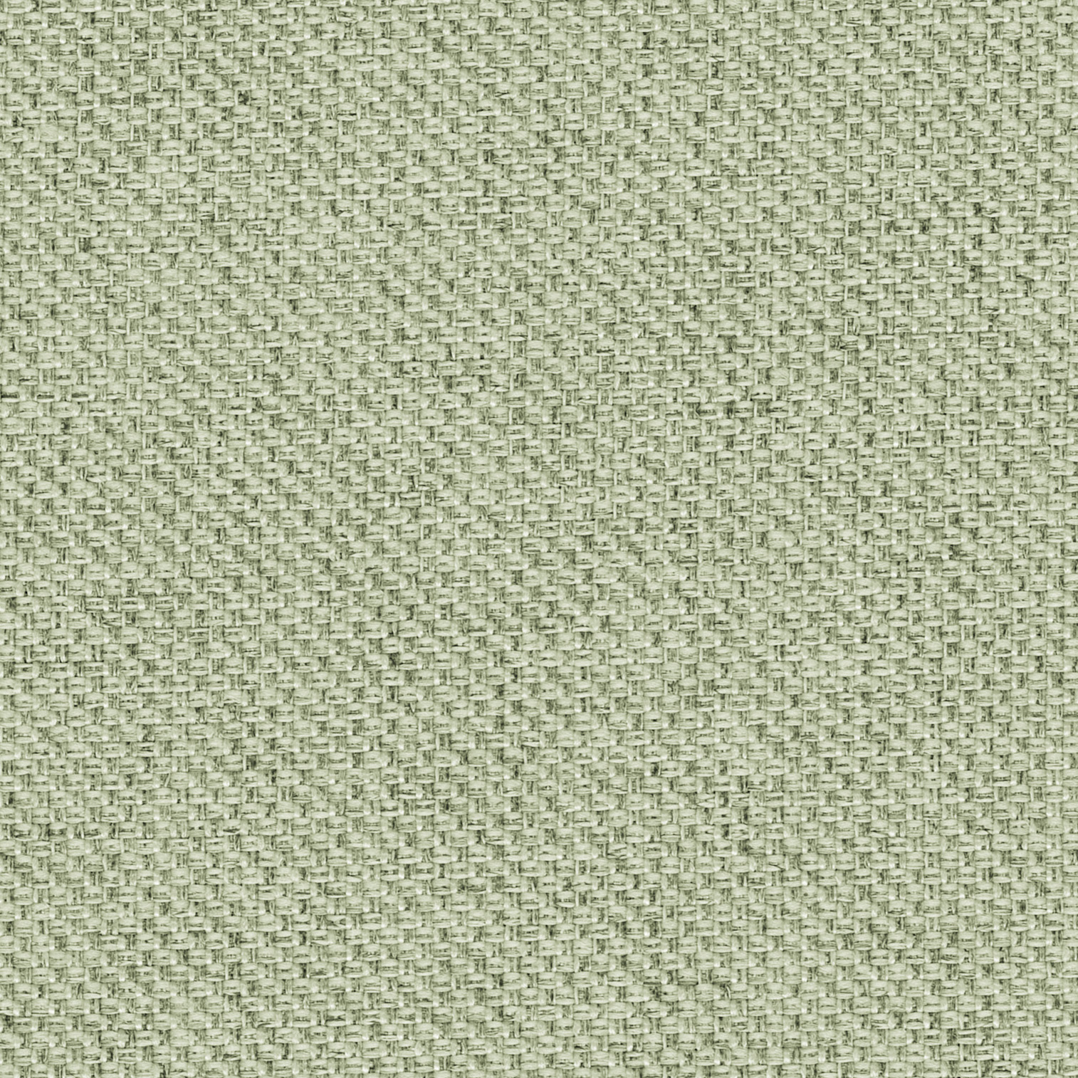 FBV1