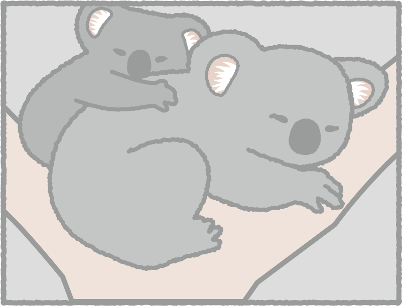 コアラ