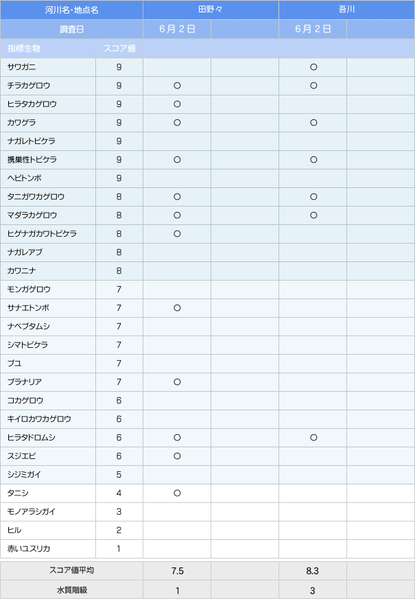 水流度調査結果 2