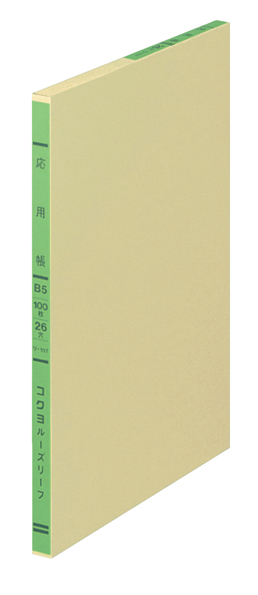 ﾘ-107