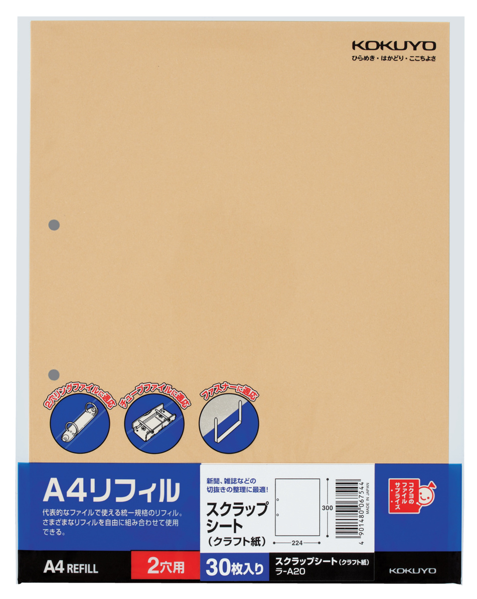 ﾗ-A20
