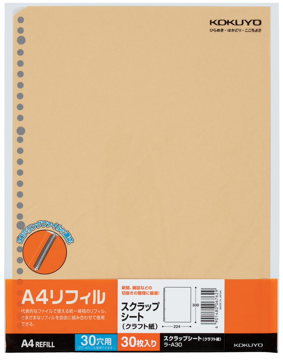 ﾗ-A30