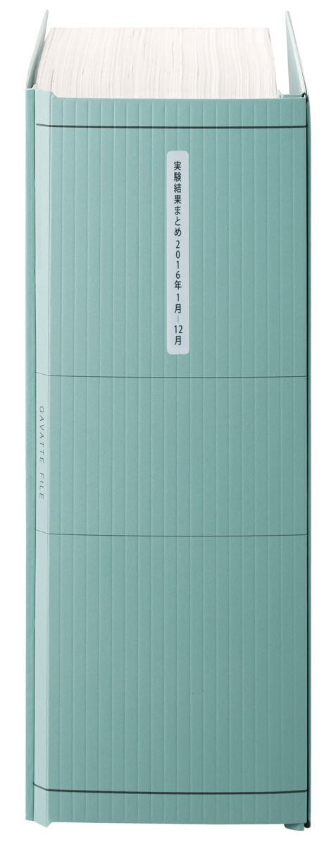 ﾌ-V90B