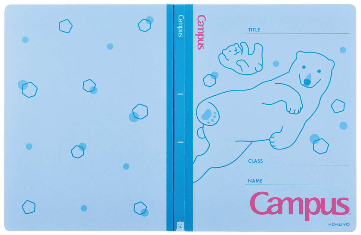 ﾌ-CA10-1