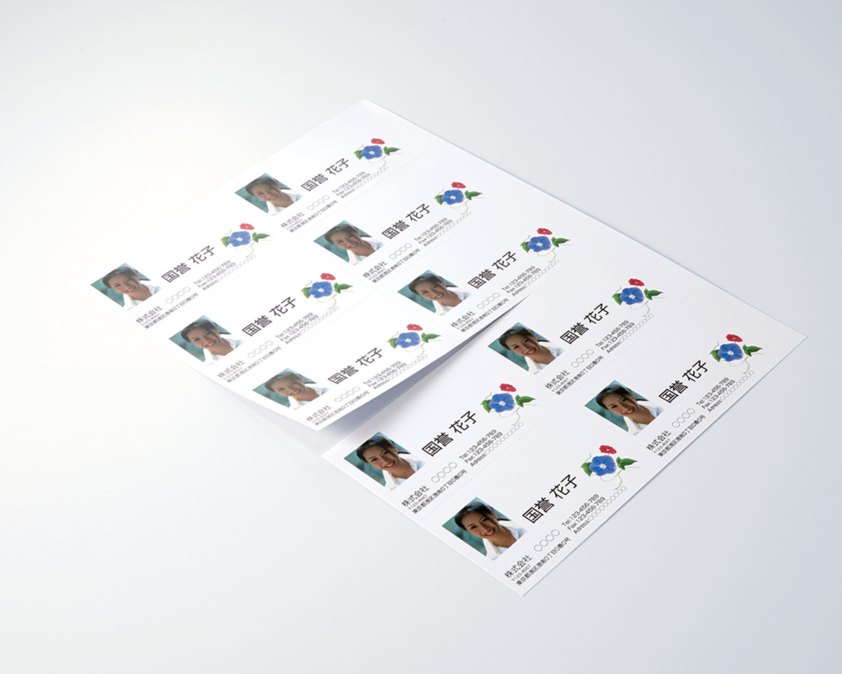 LBP-VG10