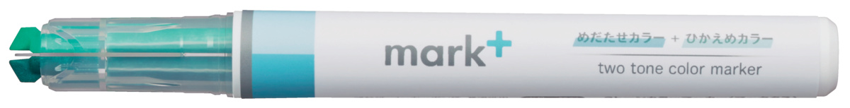 PM-MT100G-1P