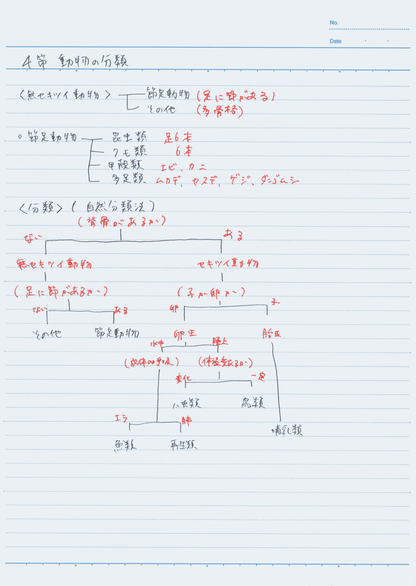 ﾉ-3CBN-B