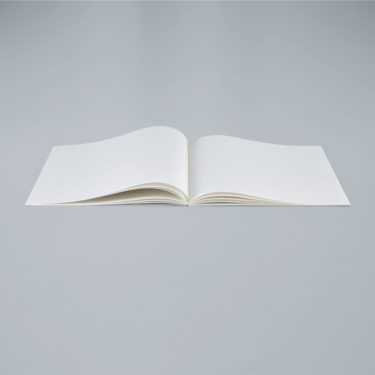 ﾉ-FL3CAT-B